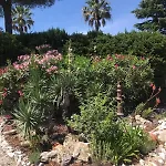 With Sea View, 1 Km From The And Center, Bbq, Tennis Close By * Fréjus