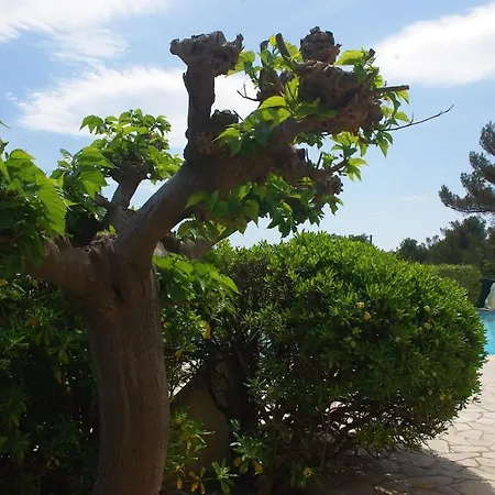With Sea View, 1 Km From The And Center, Bbq, Tennis Close By Villa